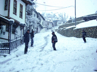 Taraklı’da Kar Yağışı Etkili Oluyor