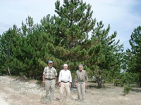 Arkamızdaki Manzara