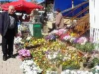 Pazarda Saksı Çiçeğe Rağbet eden Vatandaşlar