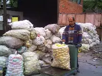 Dip Elmasından Sonra Şimdide Dip Ayvası Alımları Başldı