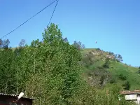 Hisar'da Ağaçlar Seyreldi