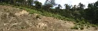 Doğa Kendini Yeniliyor