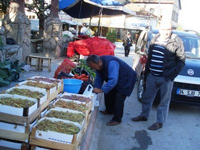 Üzüm Almadan Geçmek Yok