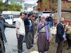O, Pazarda Küçükbaş Hayvan Satıyor