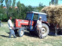 Çiftçinin yüzü güldü