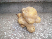 Bu Patates Başka Patates