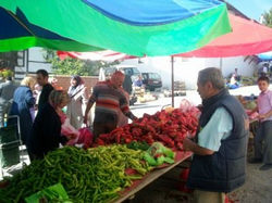Salçada Tercih Kırmızı Biber