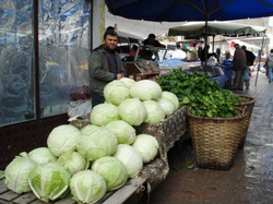 Başkan Özkaraman Köylü Pazarını Gezdi