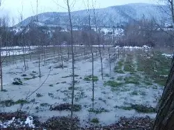Bahçeler Sular Altında
