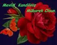 Bu Gece Mevlid Kandili