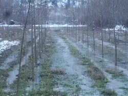 Bahçeler Sular Altında