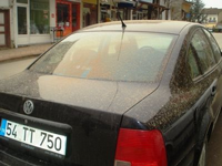 Çamur Yağdı