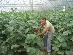 Seracılık Revaçta