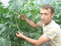 Seracılık Revaçta