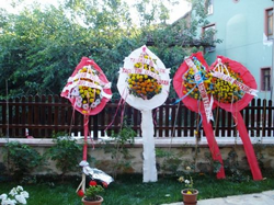 Tarihi Hanımeli Konağı Açıldı