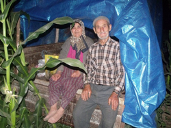 Teneke İle Yabani Hayvan Nöbeti