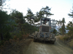 Yangın Şeridi