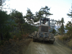 Yangın Şeridi