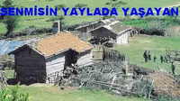 Senmisin Yaylada Yaşayan?