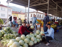 Taraklı Pazarı Bu hafta Harekeliydi.