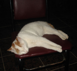 Objektifimize Takılan