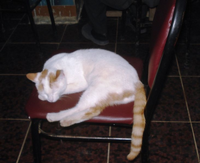 Objektifimize Takılan