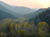 Eşsiz Sonbahar Manzaraları