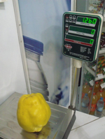 1 KİLO 260 GRAM AĞIRLIĞINDA AYVA :