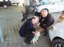 Sahipli Köpeklere Kuduz Aşısı Yapıldı