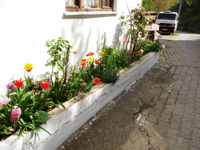 Geçmişten Günümüze Devam Eden Kültür