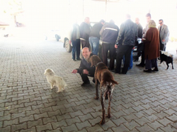 Sahipli Köpeklere Kuduz Aşısı Yapıldı