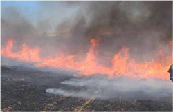 Anız Yakmak Geleceğimizi Yakmaktır