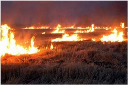 Anız Yakmak Geleceğimizi Yakmaktır