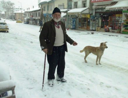 Güvercinlere Yem Atıyorlar