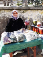 Soğuk Algınlığına karşı Bitkisel İlaçlara ilgi Artıyor.