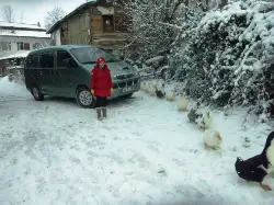 Yağan Karın Keyfini Çıkarttılar.