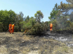 Duman Köyü Kalender Mevkiinde Orman Yangını