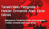 Çıkan Yangında Yaklaşık 1 Hektarlık Alan Zarar Gördü