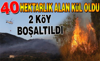 Geyve de 40 Hektarlık Ormanlık Alan Kül Oldu