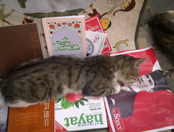 TARAKLI AJANS Objektifine Takılan