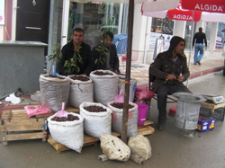 Kestane Tezgahları Doldurdu