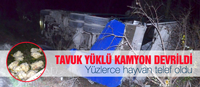 Tavuk Yüklü Kamyon Devrildi