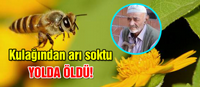 Kulağından Arı Isıran Yaşlı Adam Öldü