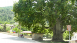 Yusufbey Mahallesinde İftar Var
