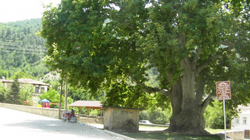 Yusufbey Mahallesinde İftar Var