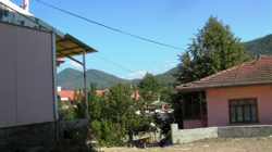 Telefon Direği Ortada Kaldı