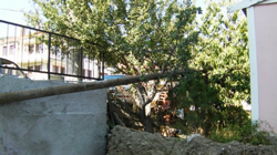 Telefon Direği Ortada Kaldı