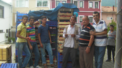 Salçalık Domates Sezonu Hızlı