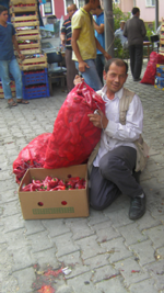 Salçalık Domates Sezonu Hızlı