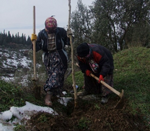 Taraklı Yolu Ağaçlandırılıyor…